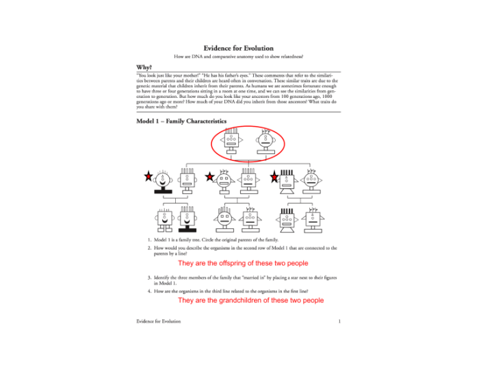 Pogil evidence for evolution answer key