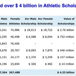 Scholarship scholarships college will amounts packages differ person between each