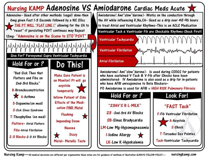 Atropine vs adenosine vs amiodarone