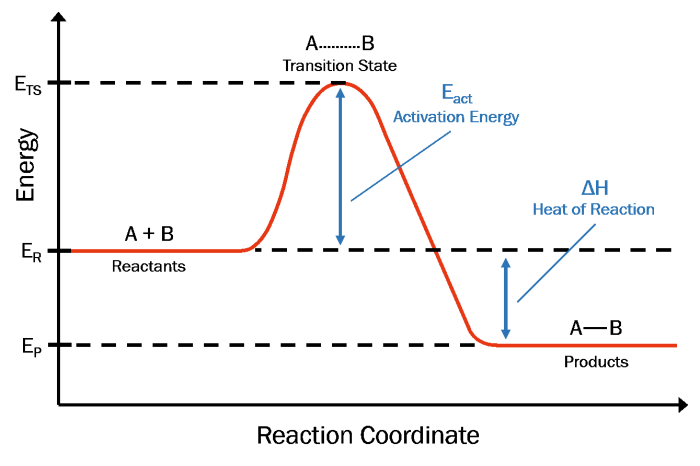 Energy worksheet #1 reaction rates