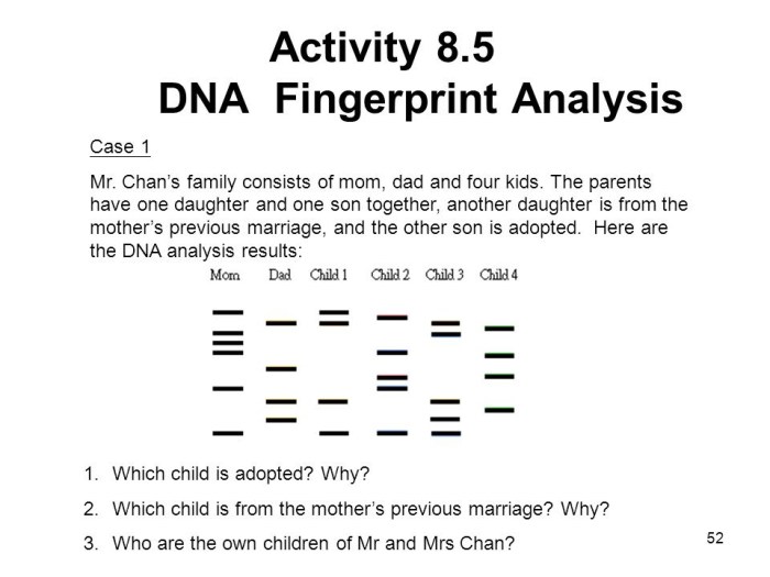 Dna fingerprinting lab answer key