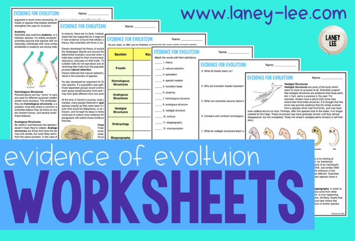 Pogil evidence for evolution answer key