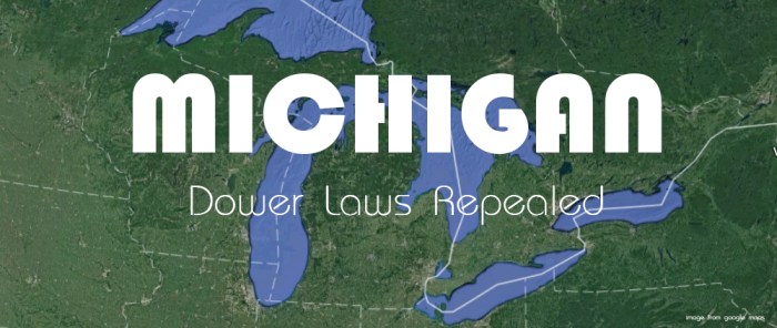 Dower michigan rights platforms daniel social