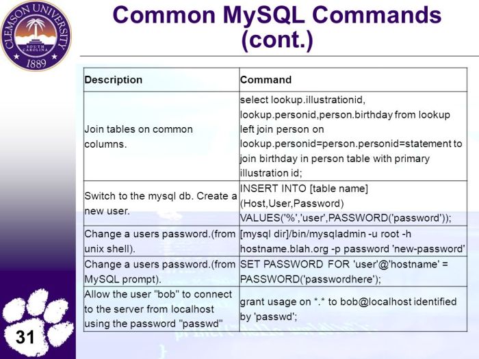 Insert into pass passwd password