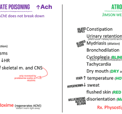 Atropine vs adenosine vs amiodarone