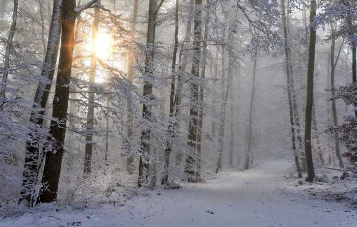 Stopping by woods on a snowy evening answer key