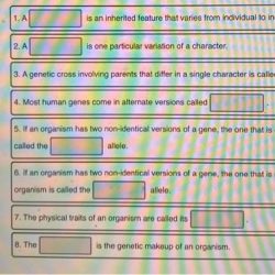 Organism cell development embryo clipart plant embryonic animal stages zygote first plants embryogenesis processes mammal mammalian form although hillis ch